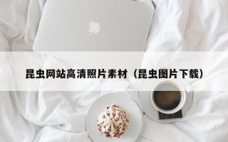禹州昆虫网站高清照片素材（昆虫图片下载）
